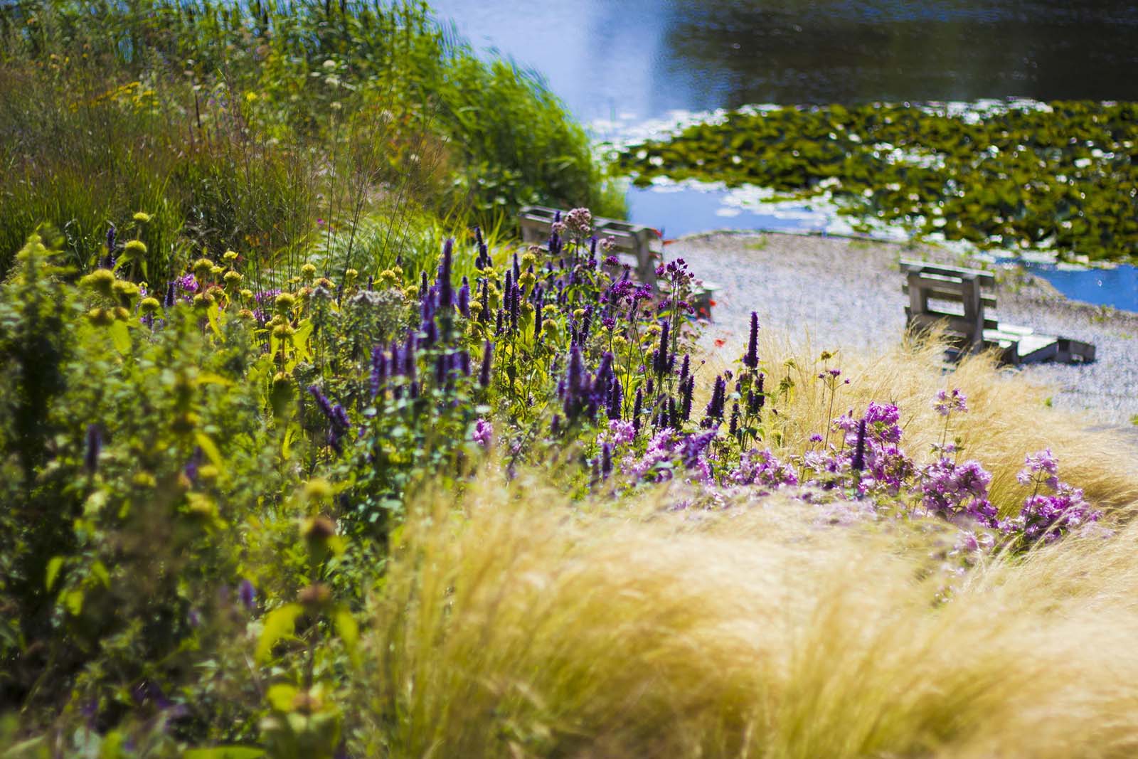 Tuin de Lepelaar 2014