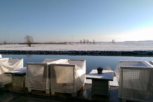 1600-Niewegein-30-01-2015 (3)