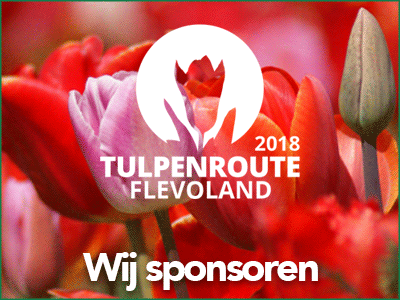 Tulpenroute-Flevoland