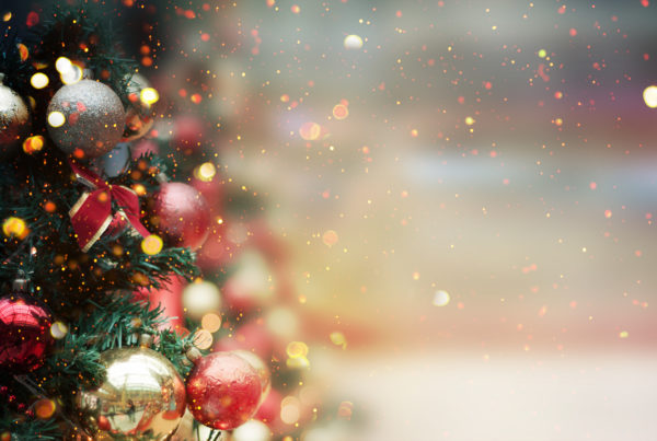 Hajé Kerstbrunch