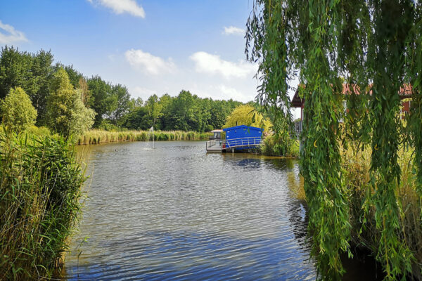 IMG_20200612_111921.1
